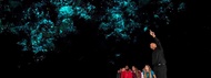 Auckland Hobbiton & Waitomo Caves Full-Day Tour