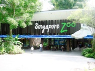 Zoo with tram cheap ticket discount promotion Singapore. Bird Paradise River wonder Nigh Safari flye