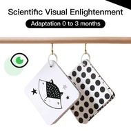 Baby Chasing Toddler Toys