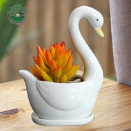 [Whcart] Ceramic Flower Pot Flowerpot Planter Planter Pot Plant Pot for Garden Bonsai