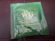TWG 茶包 12個 Tea WG 1837 tea bags 12 pcs Sencha tea 日本 煎茶 綠茶