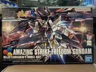 HG AMAZING STRIKE FREEDOM GUNDAM