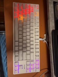 POLAR 87鍵 RGB 機械鍵盤