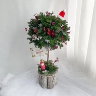 永生聖誕花球樹 / 乾燥花材 / 聖誕限定花球樹 聖誕花禮 節慶布置
