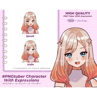 PNG Tuber | Avatar Virtual Adorable for VTuber & Streaming | PNG Tuber 152