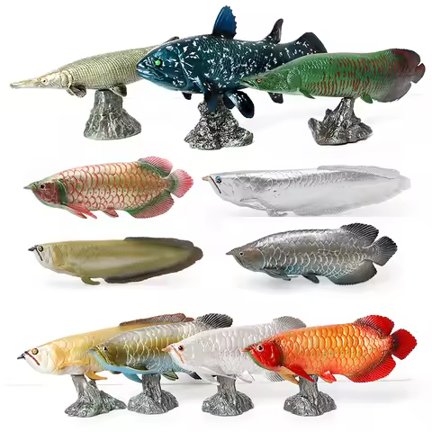 Simulation Pirarucu Arowana Coelacanth Alligator Gar Barred Bichir Fish Figures Model with Base Stat