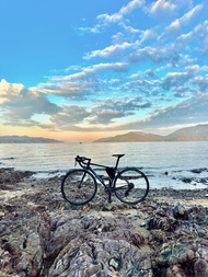 (急放❗️) Giant TCR SL 2 (可議) 公路車公路單車