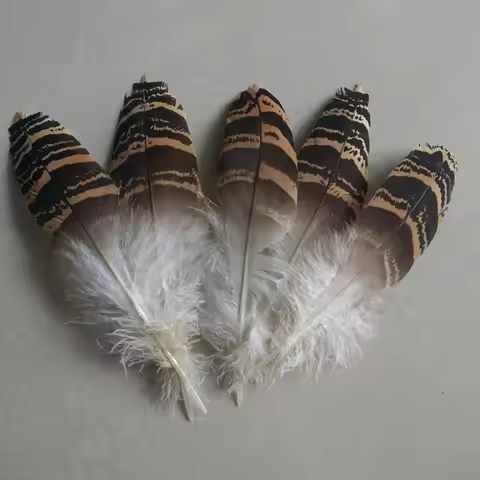 10pcs / lot rare natural eagle feathers long 18-25cm / 7-9 inch beautiful feathers accessories, deco