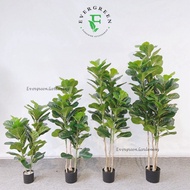 【SG Evergreen】Artificial Fiddle Fig Plants Artificial Plants Small Fake Plants Potted Plant Faux Pla