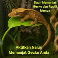 Gecko Climbing Leaves Reptile Cage Decoration Safe Climbing Decoration Accessoriesnatural