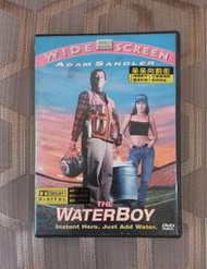 台版 呆呆向前衝 DVD 奪命鴛殃亞當山德勒
