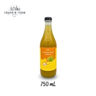 PINEAPPLE CIDER VINEGAR |  RAW Unfiltered ไซเดอร์สัปปะรด น้ำส้มสายชูหมักจากสัปปะรด แบบมีตะกอน