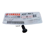 Screws, butterfly bolts for seat trunk lock EXCITER 2006-2010... original 98507--06012