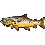 Wild Brown Trout Sticker Boat Kayak Car Bumper Decals Trout Fishing Car Sticker Fishing Art Waterpro