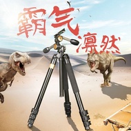 Tripod Photography Three-Dimensional Light Era Q620 Stable Stable Stand DV Video Camera Gimbal Bird 