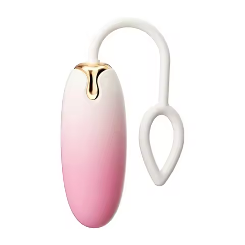 Remote Control Female Vibrator Wearing Travel BDSM Egg Vibrator Female Adult Products USB Charging G