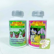 Alpha Omega Baja Air Foliar Fertiliser Baja Daun Bunga Thailand IOB