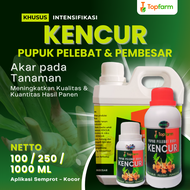 Pupuk Kencur / Pupuk Kencur Cair / Pupuk Tanaman Kencur / Pupuk Pelebat Buah Kencur / Pupuk Buat Tan
