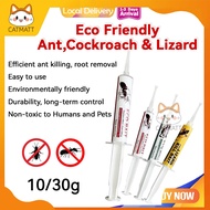 New ECO Friendly Gel Ant Bait / Anti Ant Bait / Insects Wipe Out Gel Eco Bait Cockroach Bait Lizard 