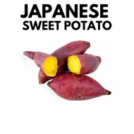 Japanese Sweet Potato 500g | Ubi Keledek