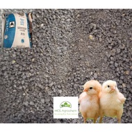 (+-1kg) Dedak halus anak ayam Gold Coin