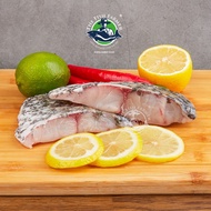 [From SG to SG] Fresh Barramundi/Seabass Fillet, Farmed in Singapore (320g+/-, 2 pieces)