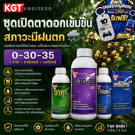 KGT ชุดเปิดตาดอกเข้มข้นในสภาวะฝนตก สะสมอาหาร กระตุ้นตาดอก ทำดอกทุเรียน 0-30-35 + วาคุ + การ์เตอร์ +