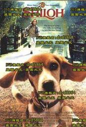 DVD 電影【牠不重，牠是我寶貝/夏伊洛/Shiloh】1996年英語/中文字幕