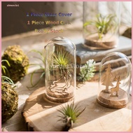 STOCKEDClear Glass Cover Cloche Bell Jar Succulent with for Home Office Table Decor DIY