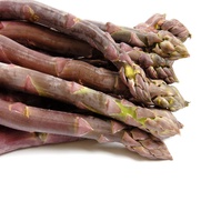 AMIATCH Purple Passion 10 Live Asparagus Bare Root Plants -2yr-Crowns from Hand Picked Nursery