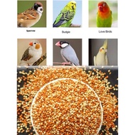 Yellow millet, red millet, shelled millet, (1KG) ，Budgie ,love bird, cockatiel，Parrot bird food mill