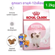 ขนาดใหม่ Royal Canin Kitten 1.2kg / Royal Canin Mother Babycat 1.2kg โรยัลคานิน อาหาร แม่แมว ลูกแมว ถุงขนาด 1.2 กิโลกรัม