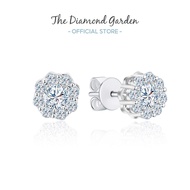 TDG 10K Gold Lab Grown Diamond Stud Earrings