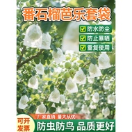 Guava Special Bag for Guava Guava Guava Mesh Bag Protective Bag Insect-Proof Bird-Proof Fruit Fly Ba