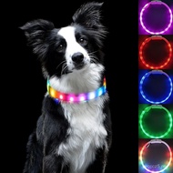 Kolar Bercahaya Haiwan Peliharaan Kolar Anjing Peliharaan USB Kolar Anjing Bercahaya Lampu Anjing Be