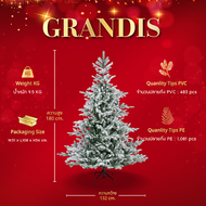ต้นคริสต์มาส 180 cm. Grandis Fir Snowy - Christmas Tree