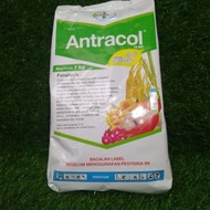 K4T Antracol 70WP zinc ++ isi 1kg/fungisida sistemik/pengendalian pada