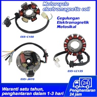 Motorcycle ignition coil, engine magnetic motor stator coil EX5-JH70 EX5-C100 X5-LC135