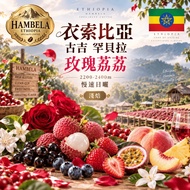 🎯Belle Love🎯Ethiopia Guji Hambella Rose Lyly G1 2200-2400m Slow Sun-dried Coffee Beans (Light Roaste