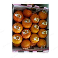Jeruk Mandarin Sakura 1 kg