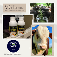 VGT Nutrisi SAPI KERBAU Vitamin Ternak Organik PO Pegon Bali Cross Brahman Semua Jenis Sapi Simental