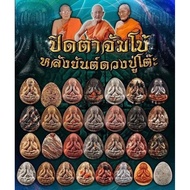 泰国🇹🇭佛牌【泰国佛牌盲盒｜Tikam Random Thailand Amulet】必达大模龙婆多 Phra Pidta Jumbo Lang Yant Lp Toh Thailand Amulet