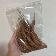 🇸🇬 Yellow Millet | Red Millet | Hamster Treats | Bird Treats