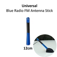 1PC 12cm {Blue) Universal Car Antenna Stick Carbon Fiber Radio FM