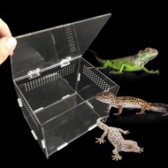 Reptile Breeding Box Acrylic Display Box / Lizard Habitat with Breathable Holes