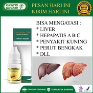 Obat Liver Liver perut bengkak liver Kronis & Ringan Hepatitis A B Dan C Penyakit Kuning sirosis hat