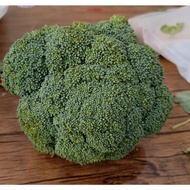 Fresh Brocoli Flower