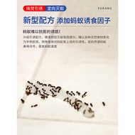Yukang Killing Ant Medicine Household Indoor Ant Medicine One Nest Killing Ant Qing Whole Nest Remov
