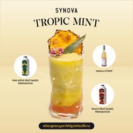 เซ็ตเมนูเครื่องดื่ม SYNOVA : ทรอปิก มินต์ Tropic Mint (Set)