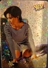 酒井法子 Yes Card ($12 起)